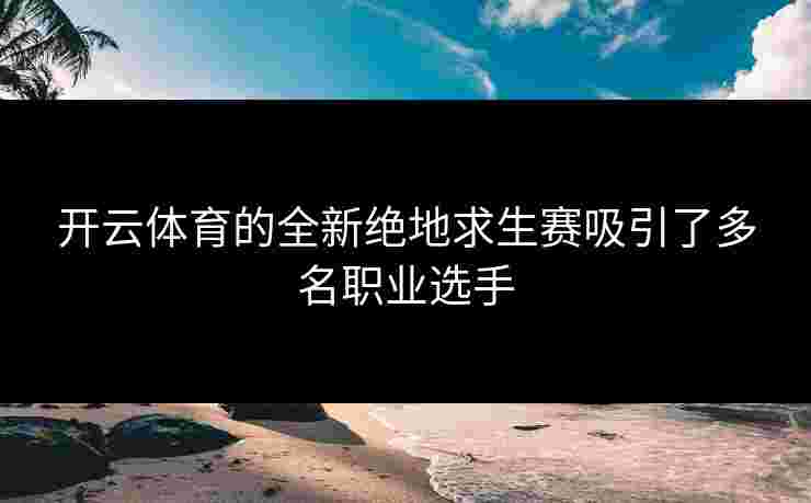 开云体育的全新绝地求生赛吸引了多名职业选手